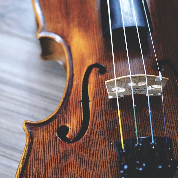 Strings lessons
