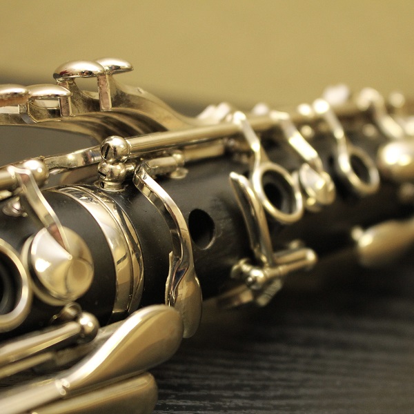 Woodwind lessons